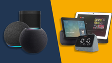 Smart speakers vs smart displays