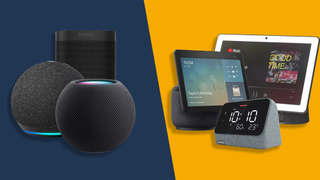 Smart speakers vs smart displays