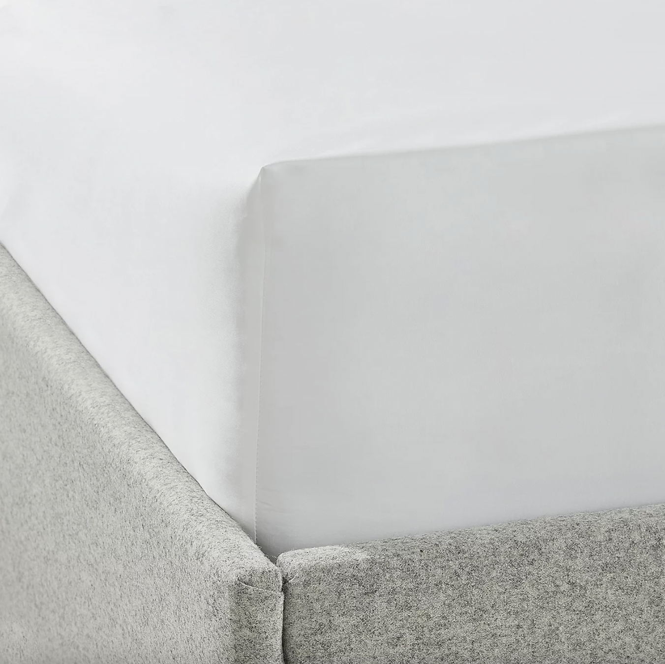The White Compant Fitted Sheet 