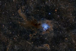 The Iris Nebula