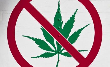 Both major political parties as well as the two candidates for governor were against the vote to legalize marijuana in California.