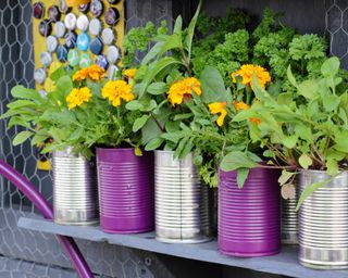 painted tins upcycled for plant pots