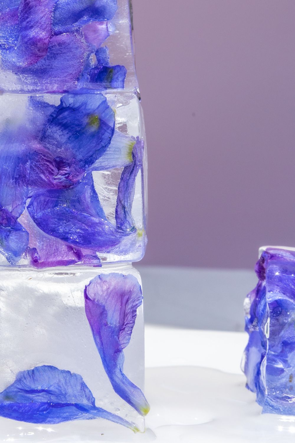 Fertility assessment: egg freezing