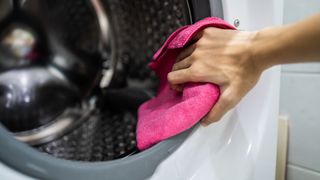 Person using a pink cleaning cloth to clean a front load washer.