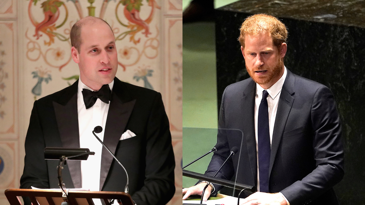 Prince William’s fans accuse Prince Harry of copying speech