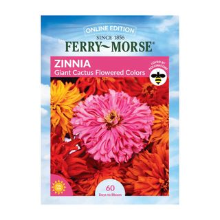 zinnia giant cactus seeds from Ferry-Morse