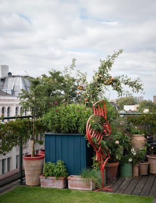Rooftop garden with potted plants