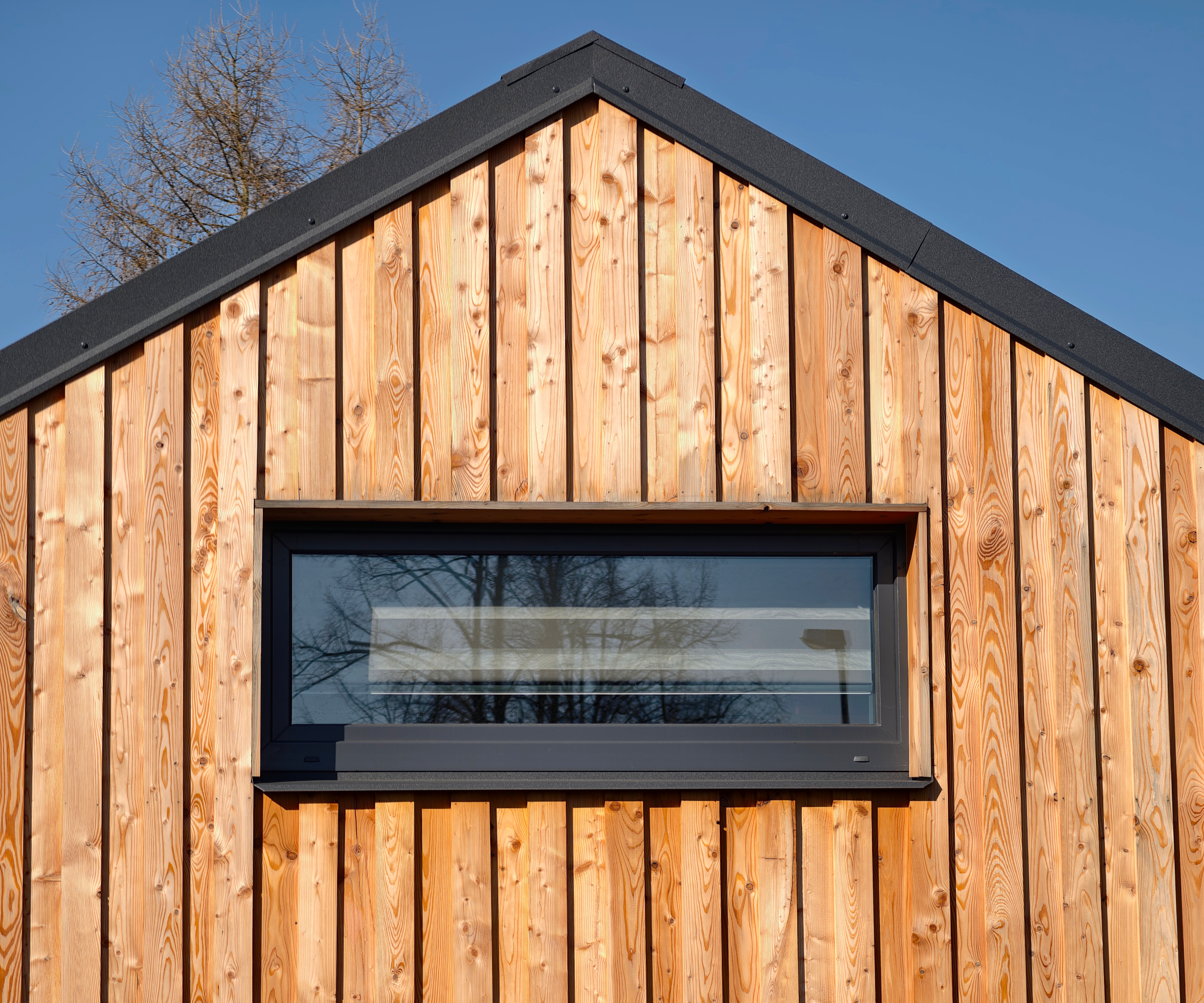 Timber cladded house
