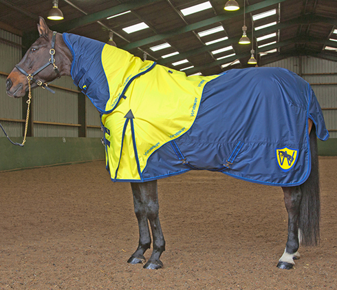 R034 Lightweight Turnout Rug