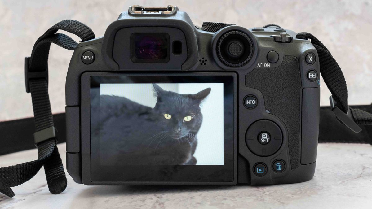 Canon EOS R7 Review | Space