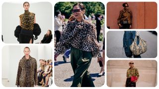 A graphic of street style animal print outfits and Fall 2024 animal print looks