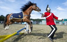 Cat13-Pro-Portfolio-1-Sgt-Donald-Todd-Royal-Welsh-Show.jpg