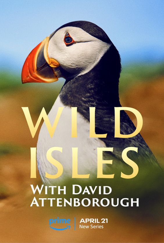 Wild Isles on Prime Video