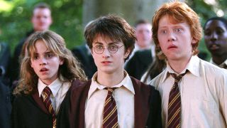 A screenshot of Harry Potter, Hermione Granger and Ron Weasley in Harry Potter, one of the new Netflix movies