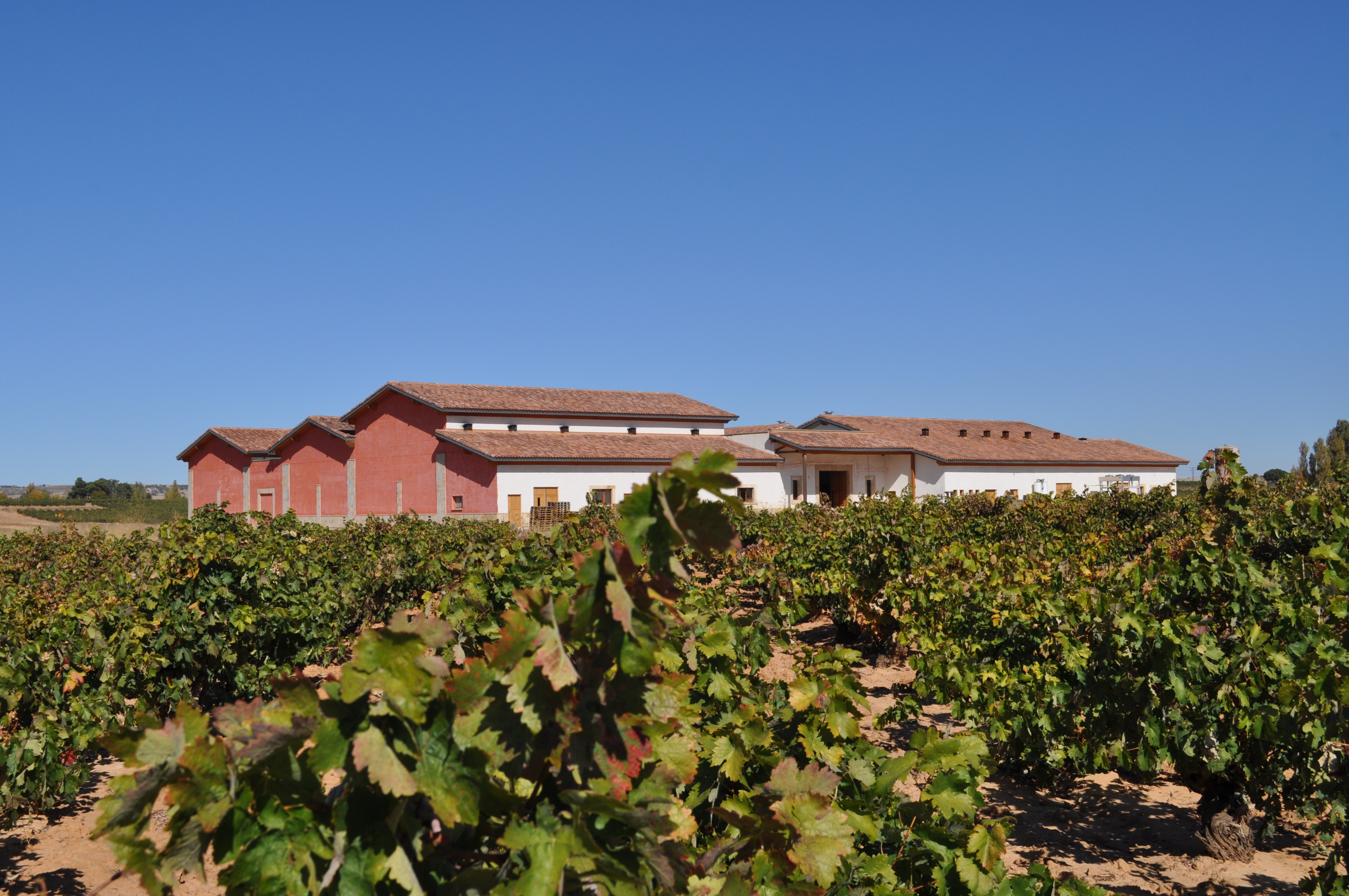 Christies real estate Ribera