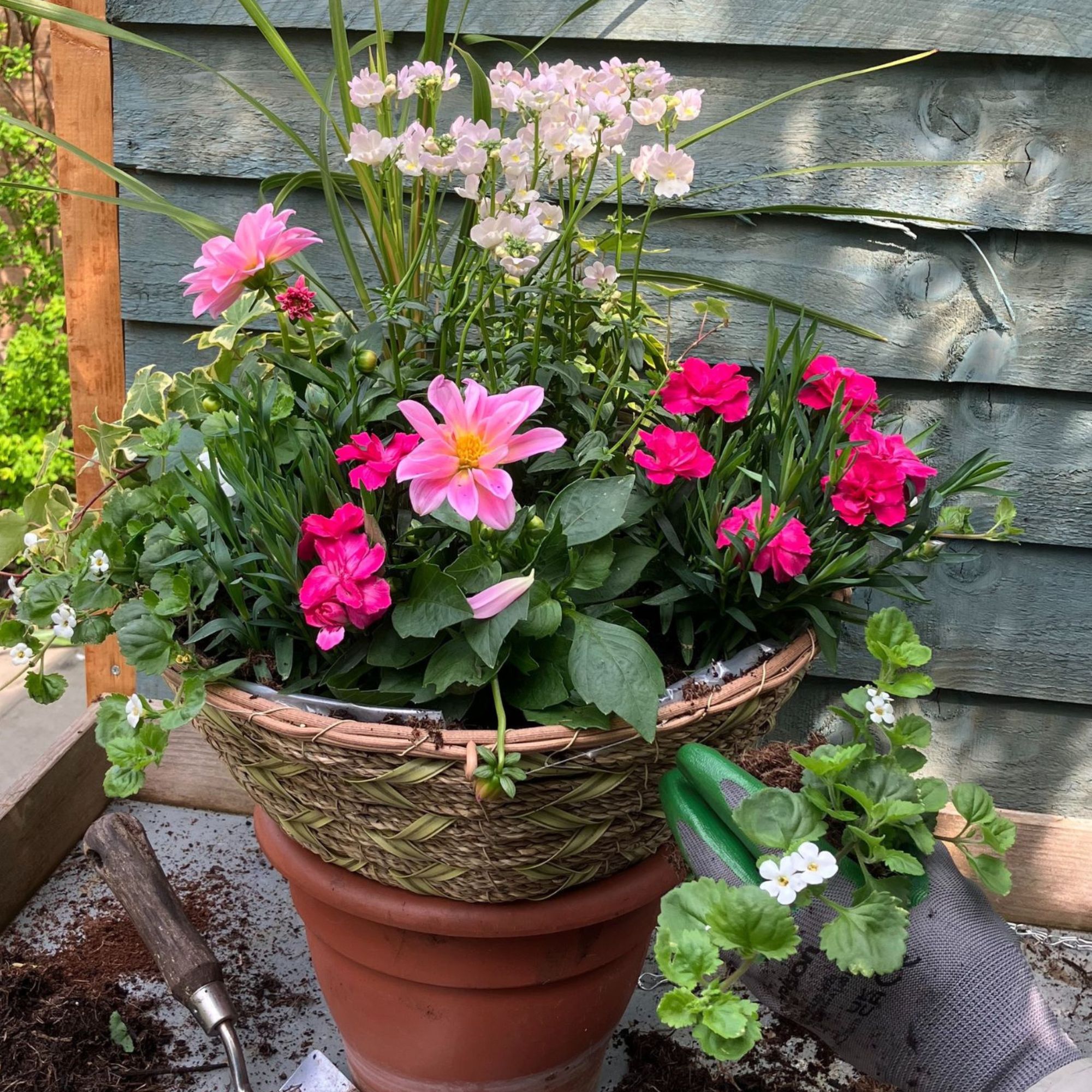 Hanging basket with pink flowers