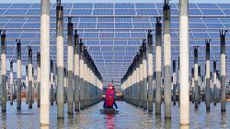 Chinese workers inspect installation of solar panels by boat