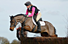 Competition ponies for sale