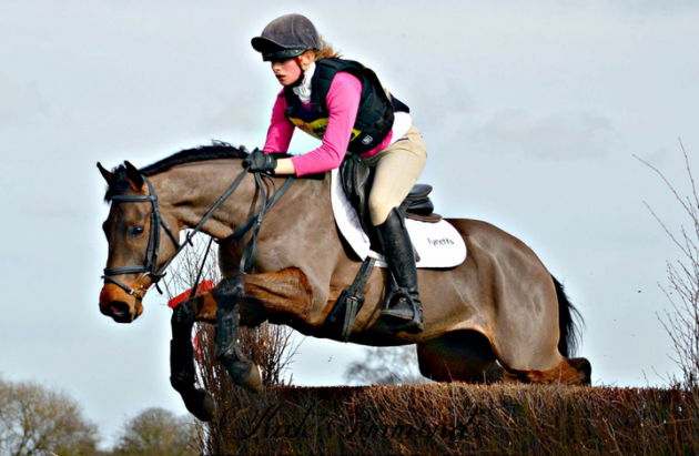Competition ponies for sale