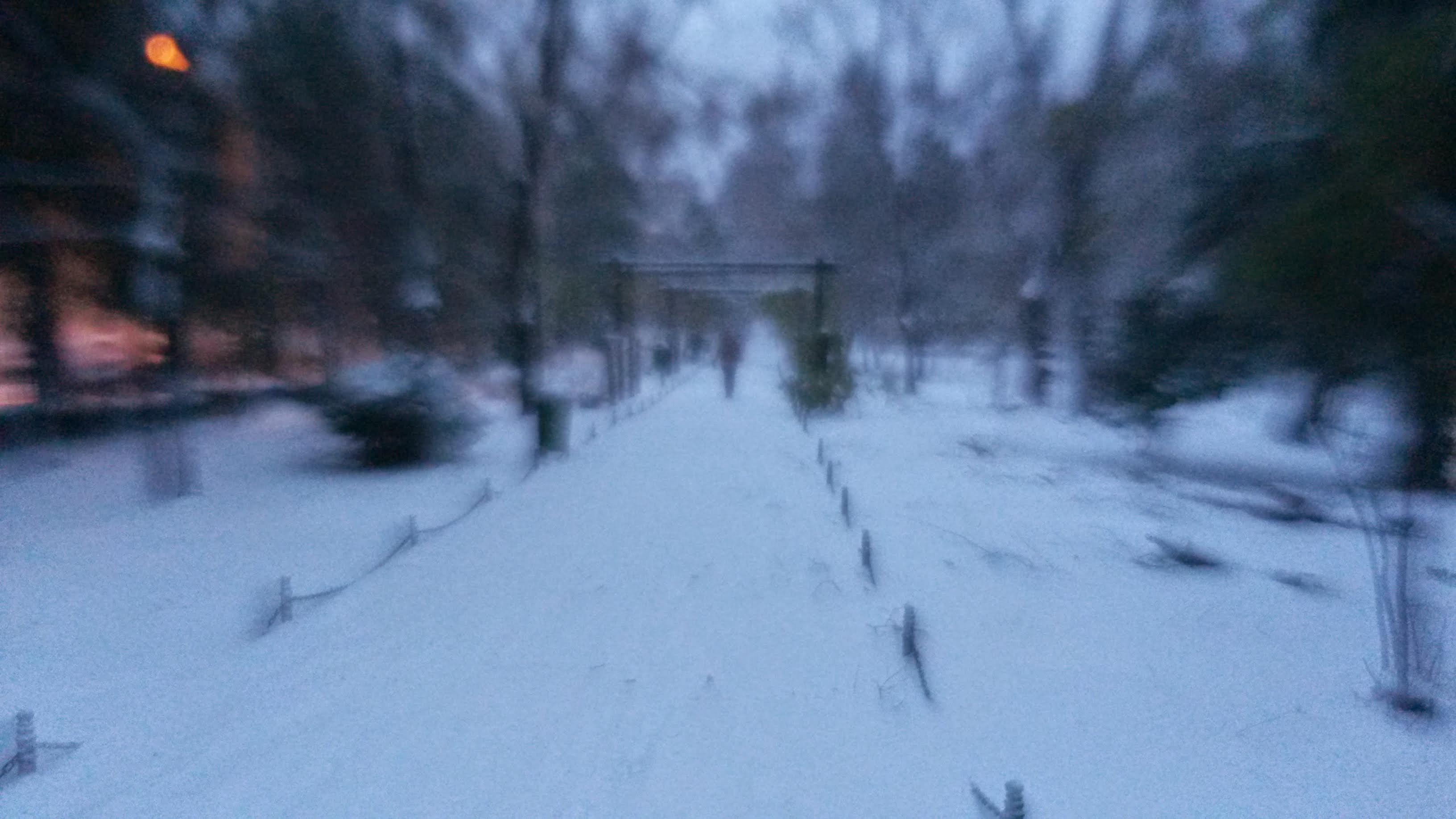 GuruShots - February 2026