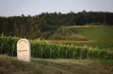 Drappier ‘Trop m’en faut!’