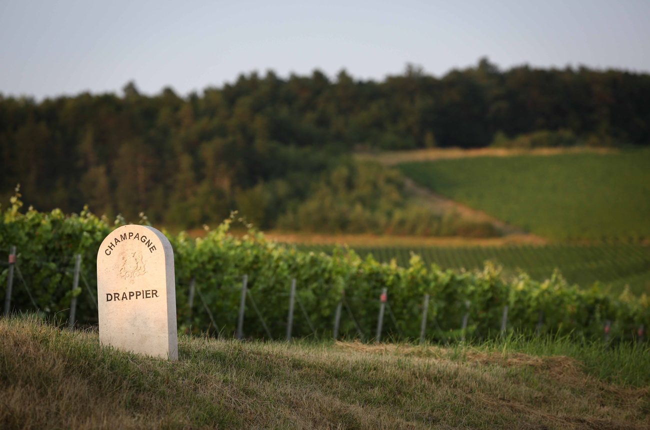 Drappier &lsquo;Trop m&rsquo;en faut!&rsquo;