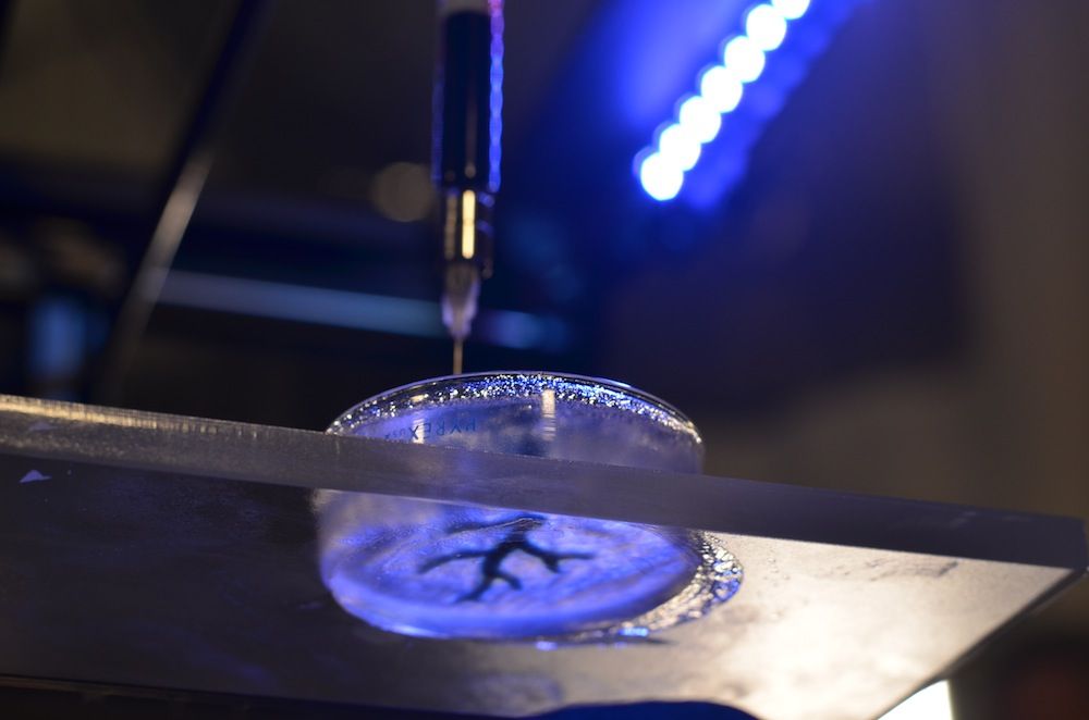 Bioprinted Coronary Artery