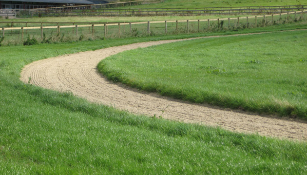 Total Equestrian Gallops