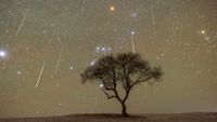 Meteors shower down behind a tree