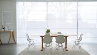 How to choose blinds for doors