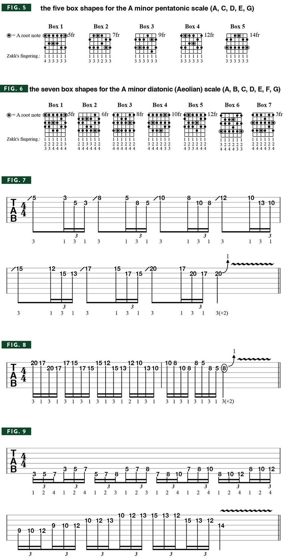 Zakk Wylde reveals 15 indepth playing tips that will take your playing
