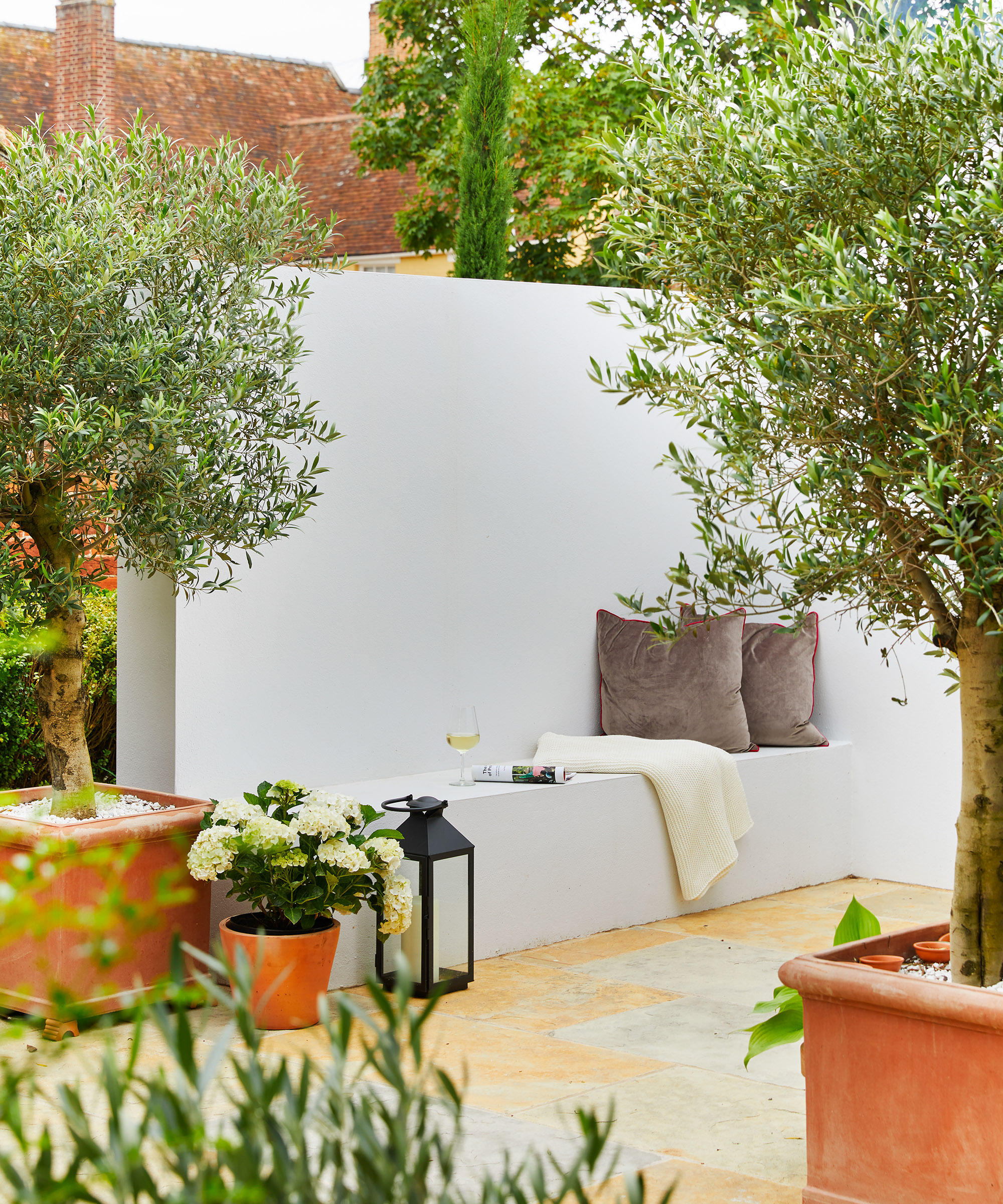 A beautiful smooth grey built in seating wall with 2 olive trees in terracotta pots
