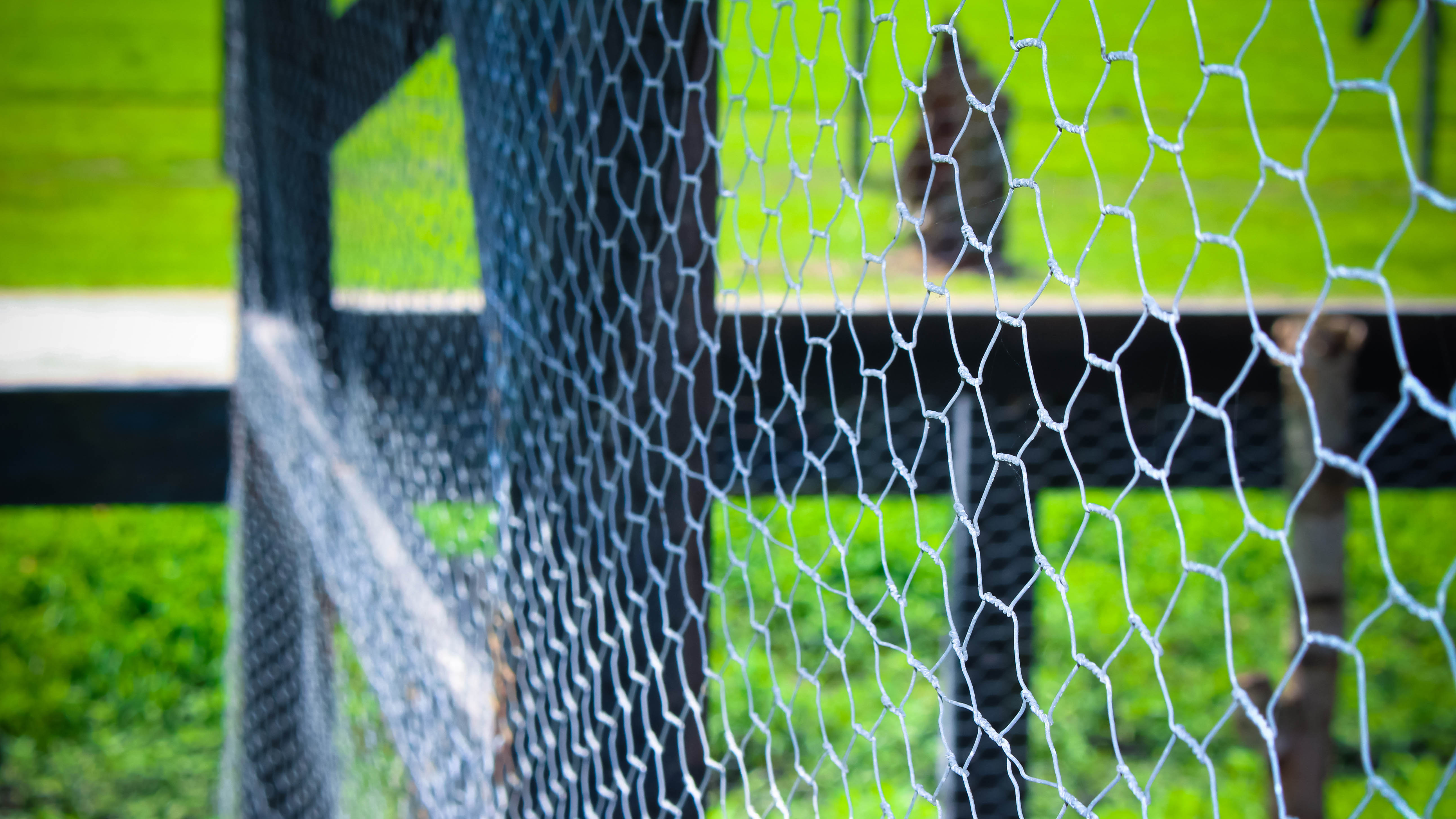 Забор с проволочной сеткой