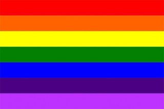 1978 1999 pride flag