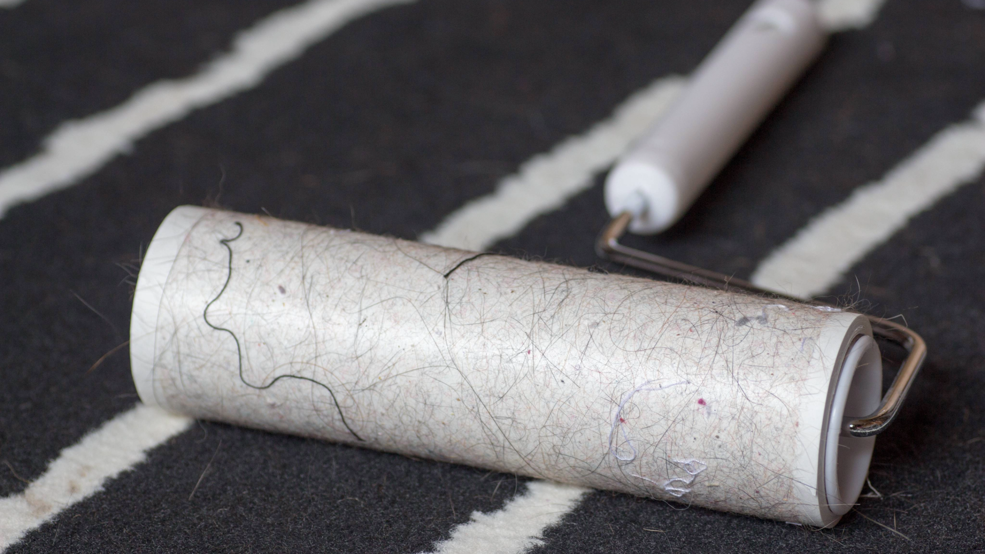 Lint roller lying on a black and white fluffy surface or carpet