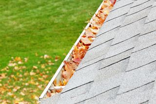 The roof of a house with autumn leaves in the gutter