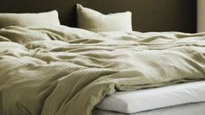 A close-up of an unmade bed with green muslin bedding on top of white or light gray sheets with a dark green headboard behind