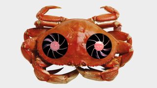 Your next GPU could be made of crab