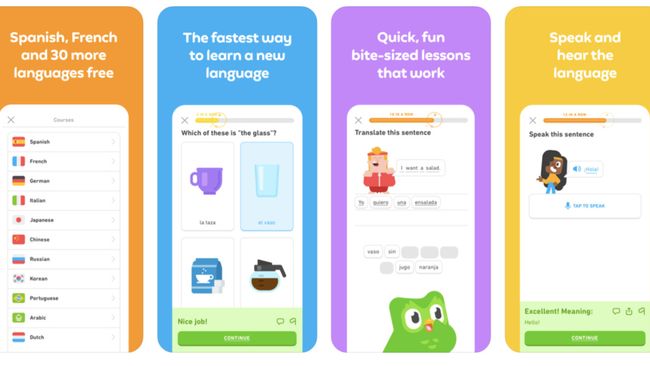 Duolingo: How to Use It to Teach Tech Learning