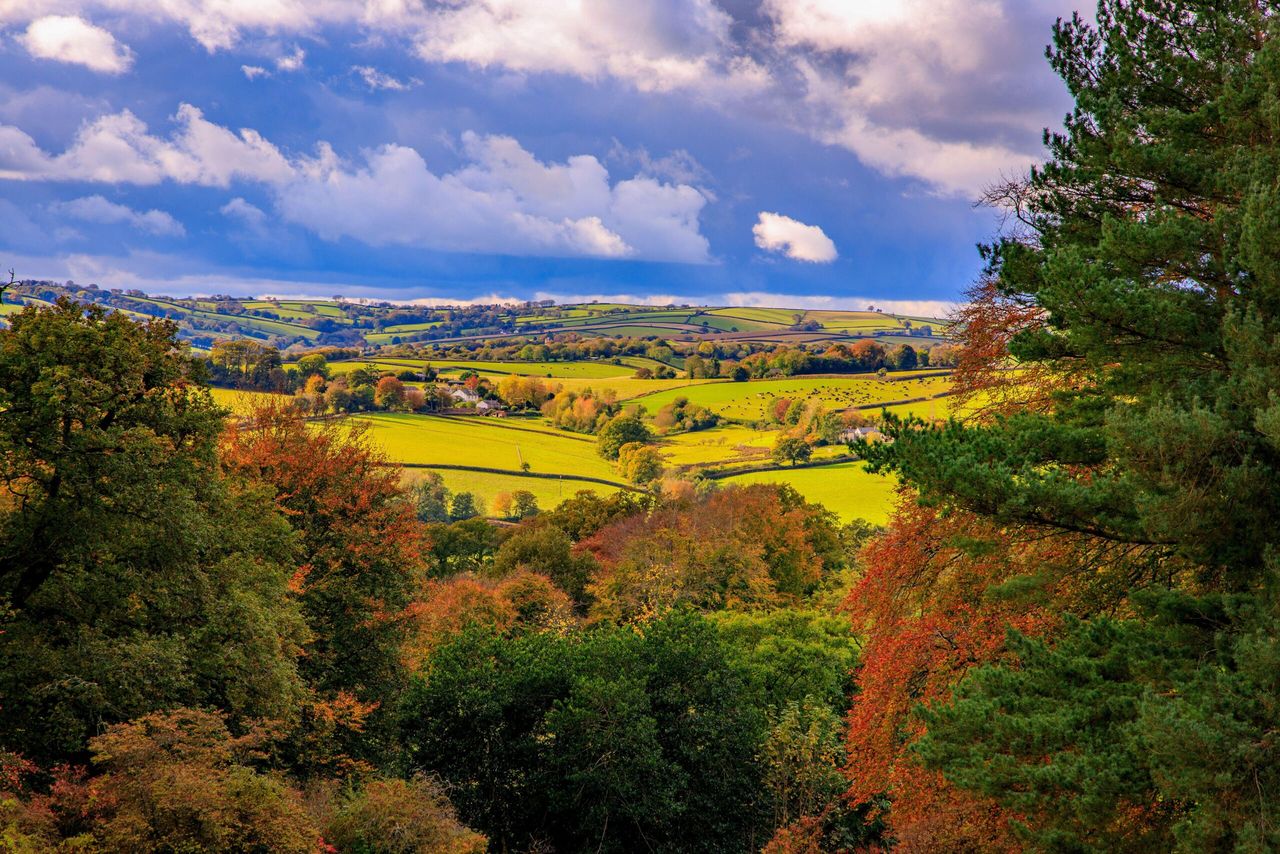 The Exe Valley, Devon.