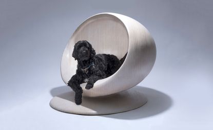 Cloud kennel, by Zaha Hadid Design for BowWow Haus