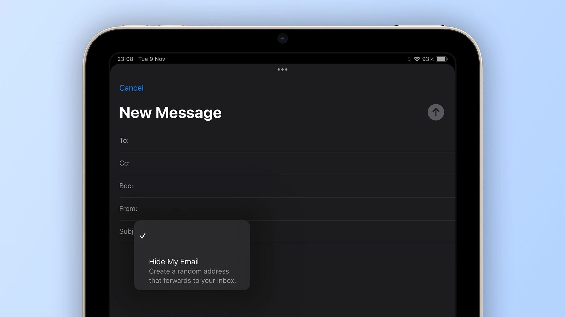 An image showing Hide My Email in the Mail app