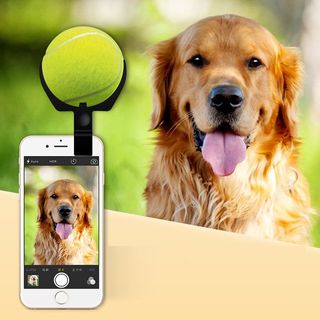 Pooch Selfie Stick Smartphone Camera Accessory