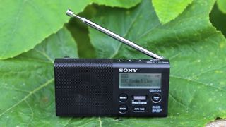 the sony xdr-p1 dab radio sat on a giant leaf