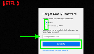 The Netflix Forgot Email/Password screen with the following parts highlighted: radio buttons for Email and Text Message, a field for your information and a button with Email me.