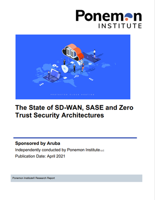 Whitepaper cover with graphic of a man stood on a laptop in front of a padlock, in front of a cloud with a server in the cloud, plus other people