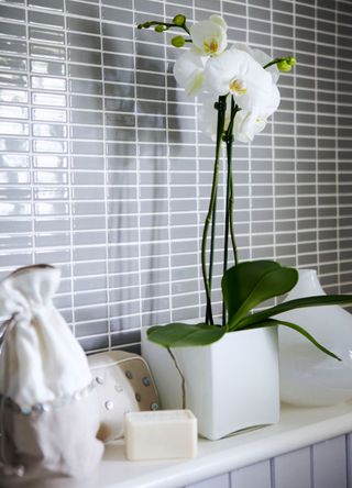 white orchid in bathroom