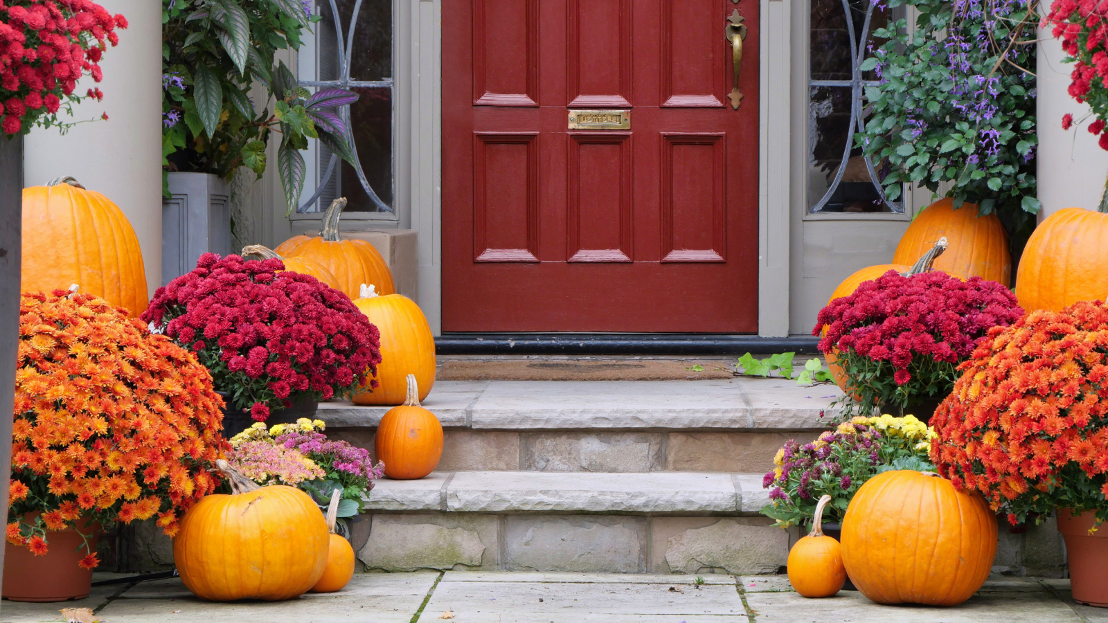 Potted mums and pumpkins on front steps and porch