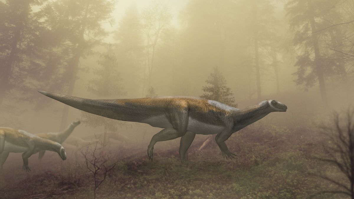 Triassic dinosaur with giant 'murder feet' wasn't so big after all, scientists find - Livescience.com