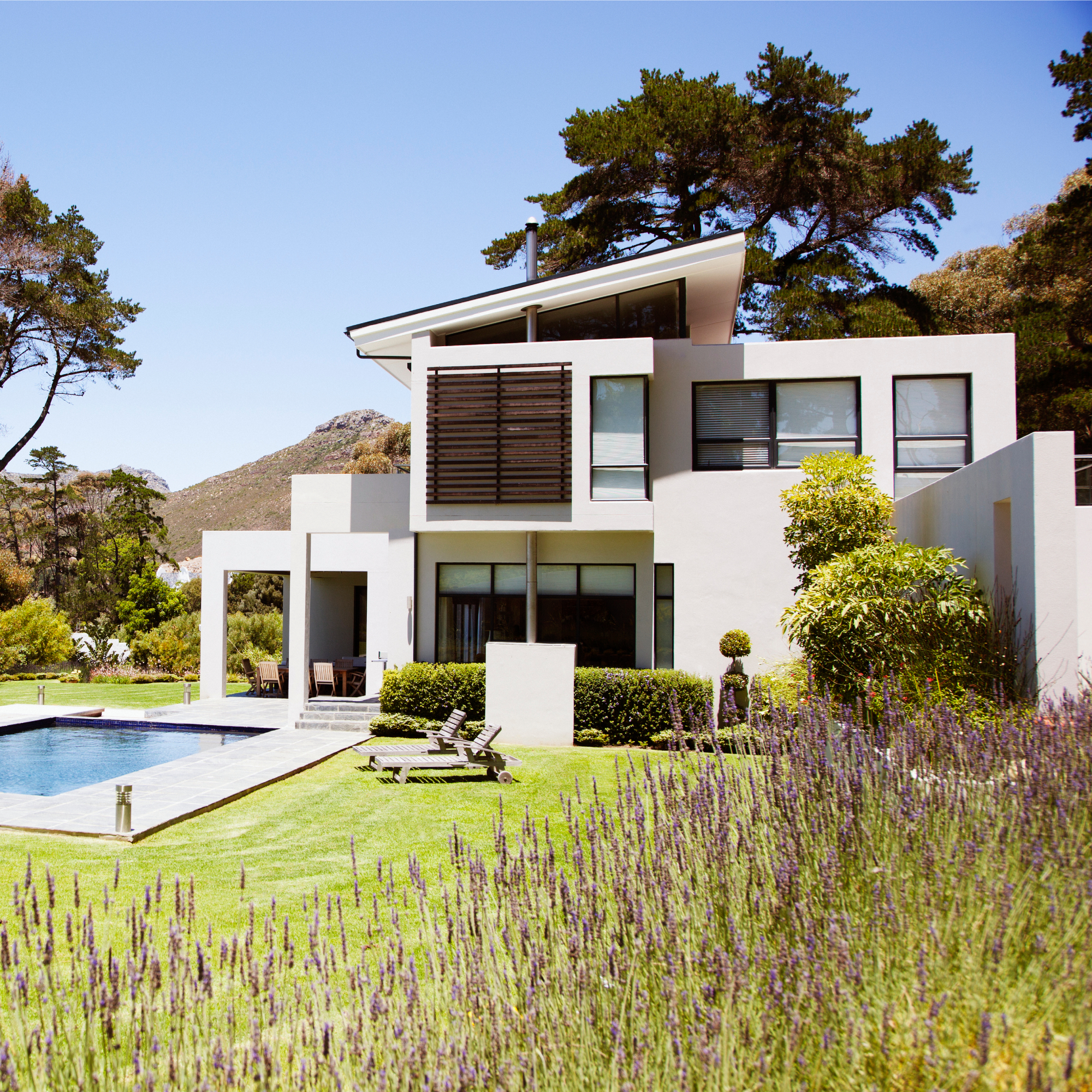 modern house and backyard 